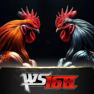 ws168 - stonebet88